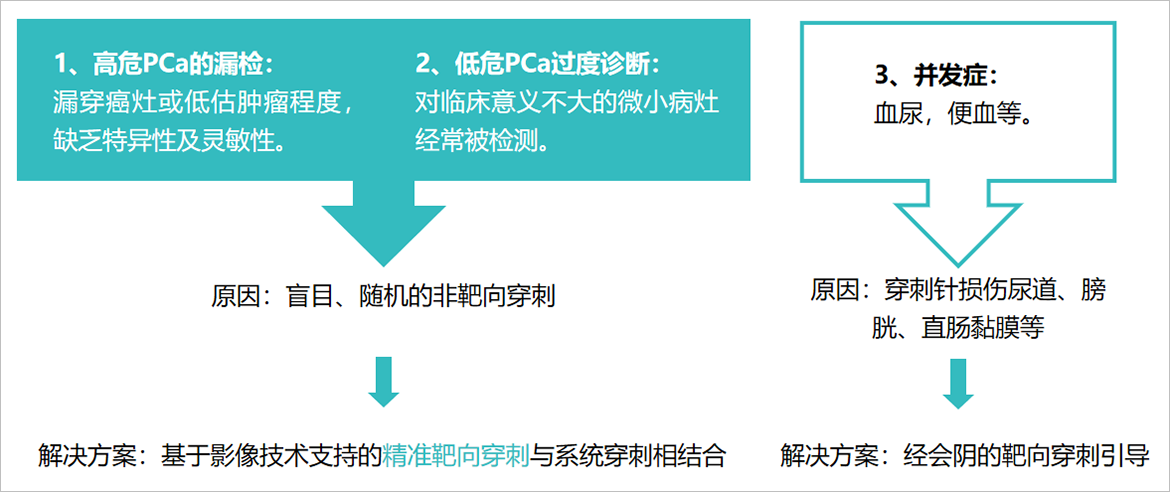 卡本医疗VENUS前列腺活检解决方案